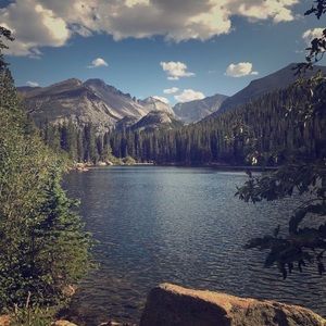 Meet your Posher, Allie